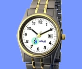 Ladies Titanium Model SM91DWH-JU