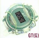 Model GT(G)